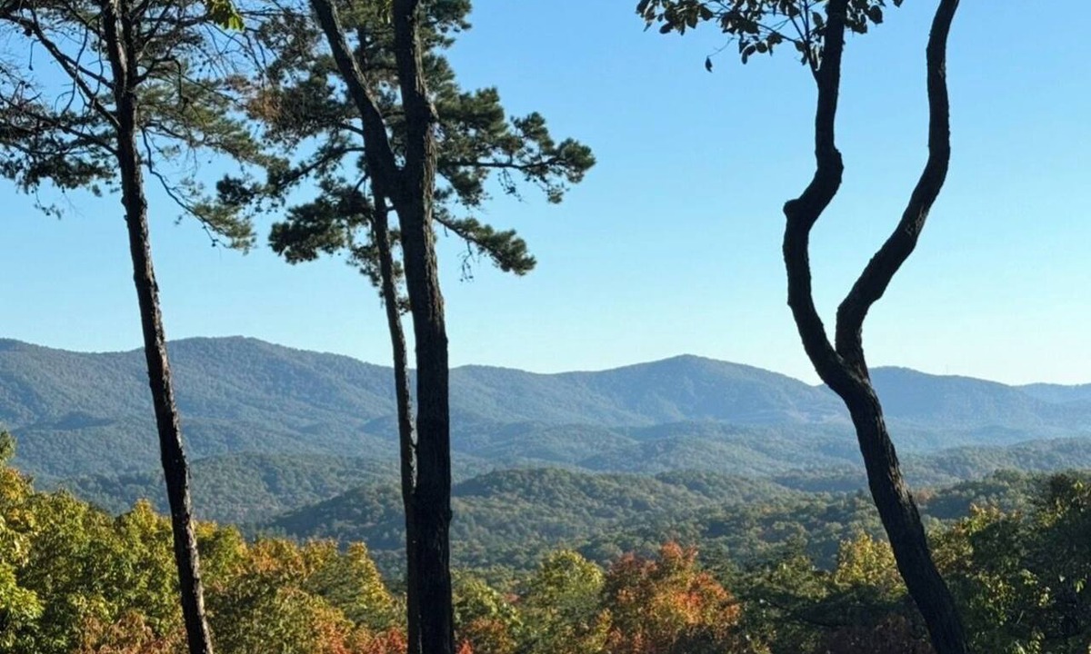 Blue Ridge Cabin | Dec. SALE-5 Star Cabin-Best Views-Hot Tub-Pups Welcome-Blue Ridge 15 Min. -Clean