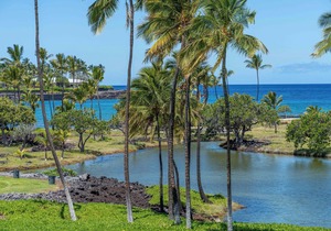 Gorgeous Oceanfront Terrace Condo - Near Beach Club! in Kamuela