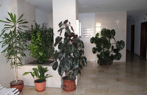 Almunecar Apartment | Comfortable apartment with large terrace