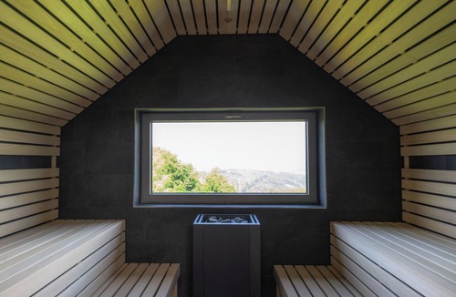Masserberg House | de luxe H751 mit Panoramasauna by Interhome