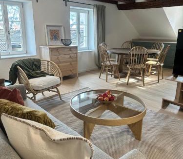 Horgen District Apartment | Stadtloft Suites Zürich-Richterswil