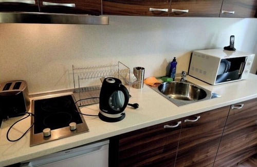 Pamporovo Apartment | Studio Apartment with a Kitchenette "Borche"