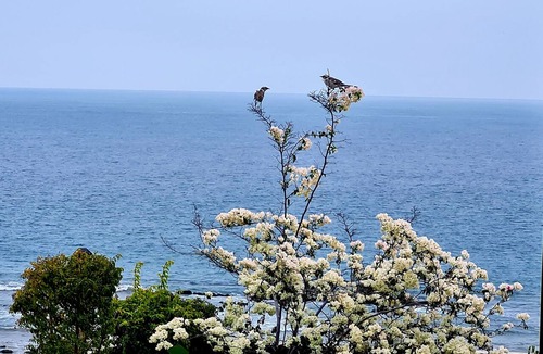 Punta Sal Villa | Villa Gattuna Punta Sal