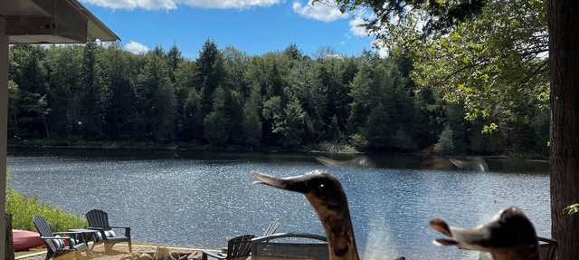 Algonquin Waterfront Getaway With SW Sunsets in Algonquin Highlands
