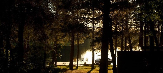 Algonquin Park Area Waterfront Cottage - Madawaska Ontario, Canada in South Algonquin