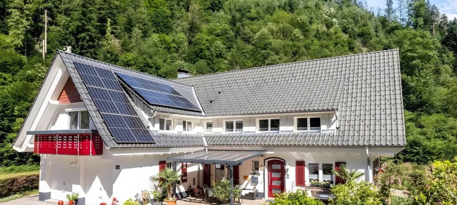Apartment 'Ferienwohnung 1 Talblick' with Mountain View, Shared Terrace and Wi-Fi in Oppenau