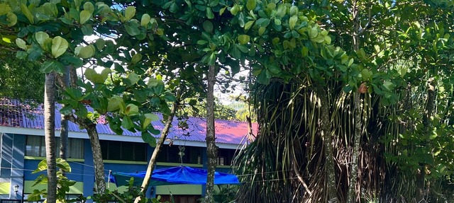 BEACHFRONT HAVEN OFFERS JOYFUL ONE OF A KIND HOLIDAY JUST STEPS FROM THE OCEAN in Esterillos Oeste