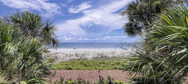 Beautiful Oceanfront Turtle Lane Villa in Sea Pines with Multiple Pools! in Hilton Head Island