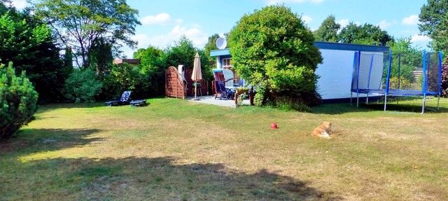 Bungalow for 4 guests with 45m² in Lensterstrand (9630) in Lensterstrand