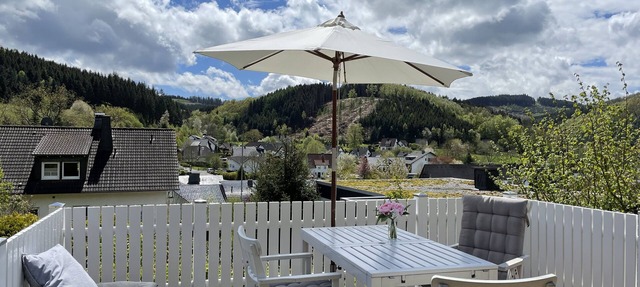 Charming vacation home on the edge of the forest in Dörnholthausen in the beautiful Rothaargebirge mountains in Sundern (Sauerland)