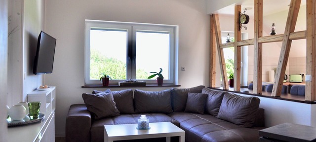 Cozy apartment with fireplace and wonderful view of the Thuringian mountains in Suhl