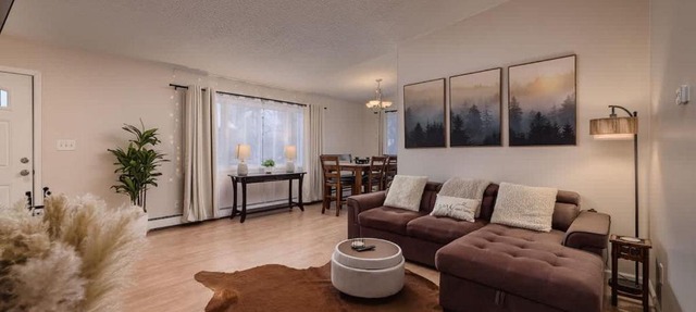 Cozy South Addition Downtown Getaway - King Beds in Anchorage