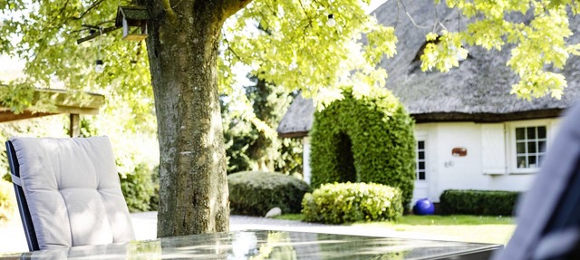 Detached 5-star country house under thatch * 200sqm living space * in Binz