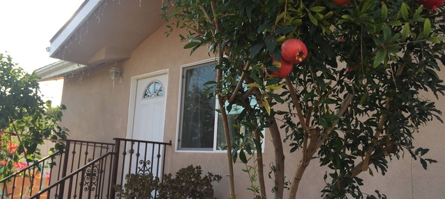 Dreams & Streams . Second dwelling with front yard and backyard. in Burbank