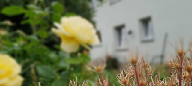 Group accommodation for nice meetings with friends, family and friends in Wehretal