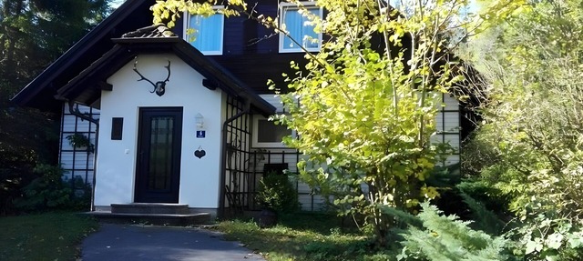 Holiday Home 'Roman' with Large Garden Directly on the River in Mitterstoder