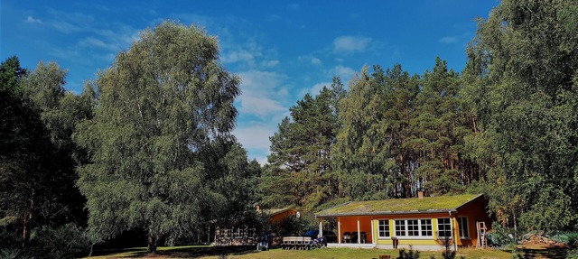Holiday homes on a natural plot with a private beach on Lake Zootzensee in Zechlinerhütte