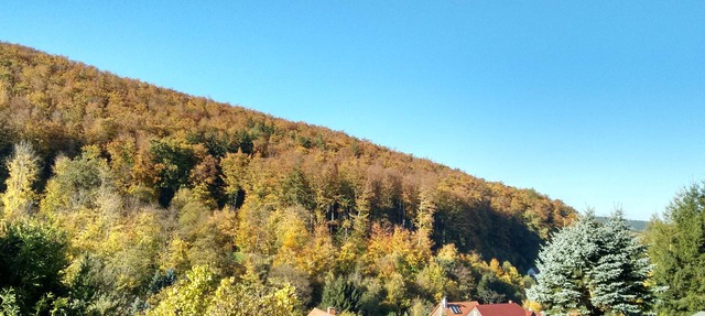 Holiday house "Haus Sommerstieg" in the middle of the Thuringian Forest in Waltershausen