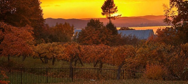 Hudson Valley Fall Escape · 50min to NYC · 3 Acre in Ossining