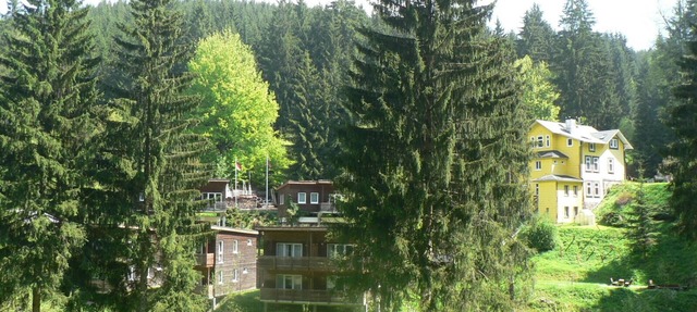 Idyllically situated vacation home in the middle of the forest in Großbreitenbach