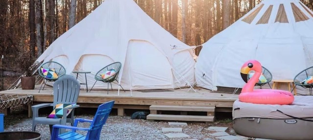 Kettles Corner Yurt with llamas, fluffy cows, and snuggly sheep in Thomson