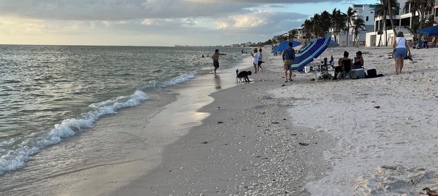 Miles of beach right across the street. Enjoy ocean view from screened balcony! in Bonita Springs