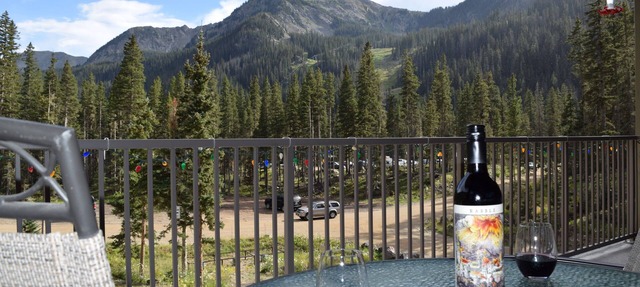Mountain Views! Elevated Balcony! Walk to the Bavarian, Hiking trails, Lift 4 in Taos Ski Valley