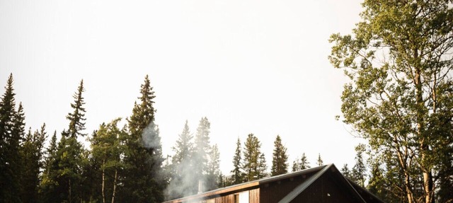 Mtn Lodge + 4 Cabins | Hot Tubs, Sauna, Sleeps 44 in Rock Lake