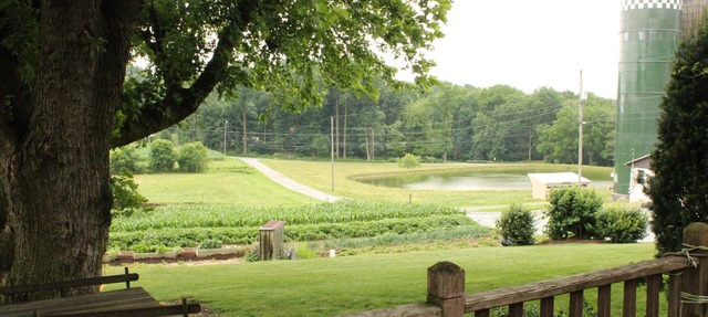 Peaceful, country setting on Fountain Hill Farm in Gap