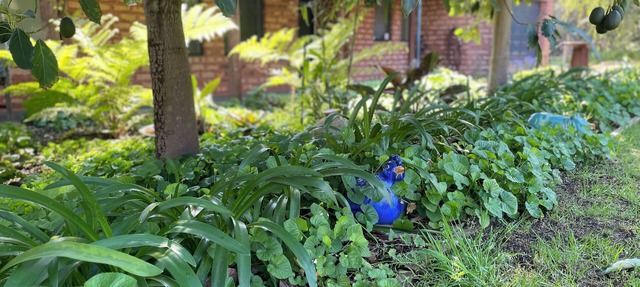 Ping Willows Guesthouse: Spacious Accommodation in the Perth Hills in Walliston