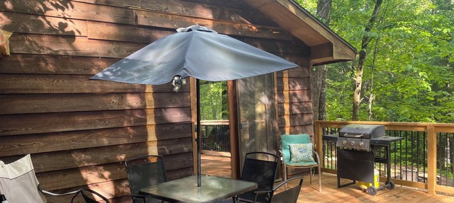 Rustic Private Cabin In Trent Lakes in Kinmount
