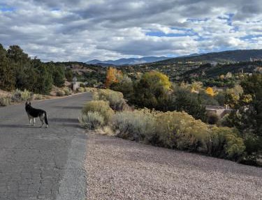 Studio apartment 15 minute walk to plaza in Santa Fe