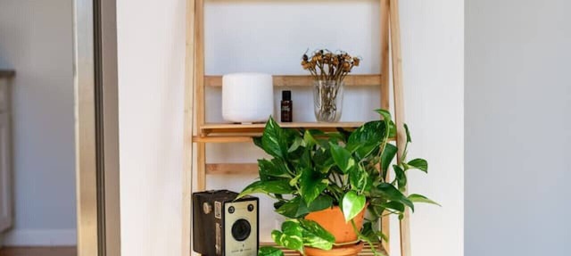 The Sunrise Loft - Perfect for travelling nurses in Columbia