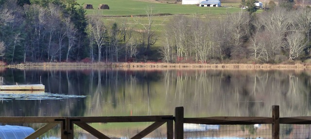 This lakefront cottage is an ideal getaway for a family! in Montrose