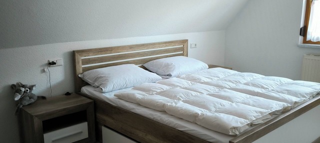 Vacation apartment in Thuringia in Amt Creuzburg