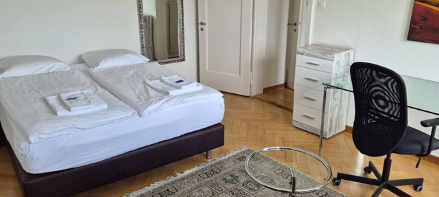 Very spacious studio with balcony (Parkview 2) in Zürich