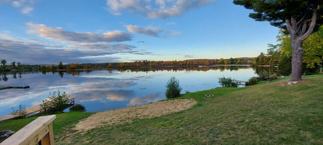 Waterfront Cottage Suite 1 Bdrm, 2 Bath, Beach, BBQ, Fire Pit Patio, shared Dock in Combermere