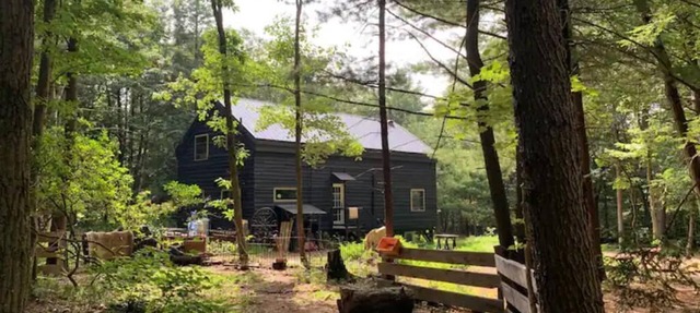 Woodland Retreat on 10 Acres in Lehighton