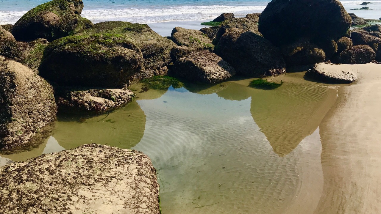 Photo of Outdoor in Punta Sal
