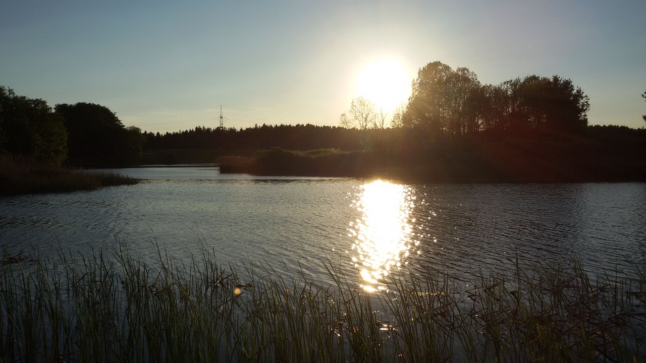 Photo of Others in Einturnen