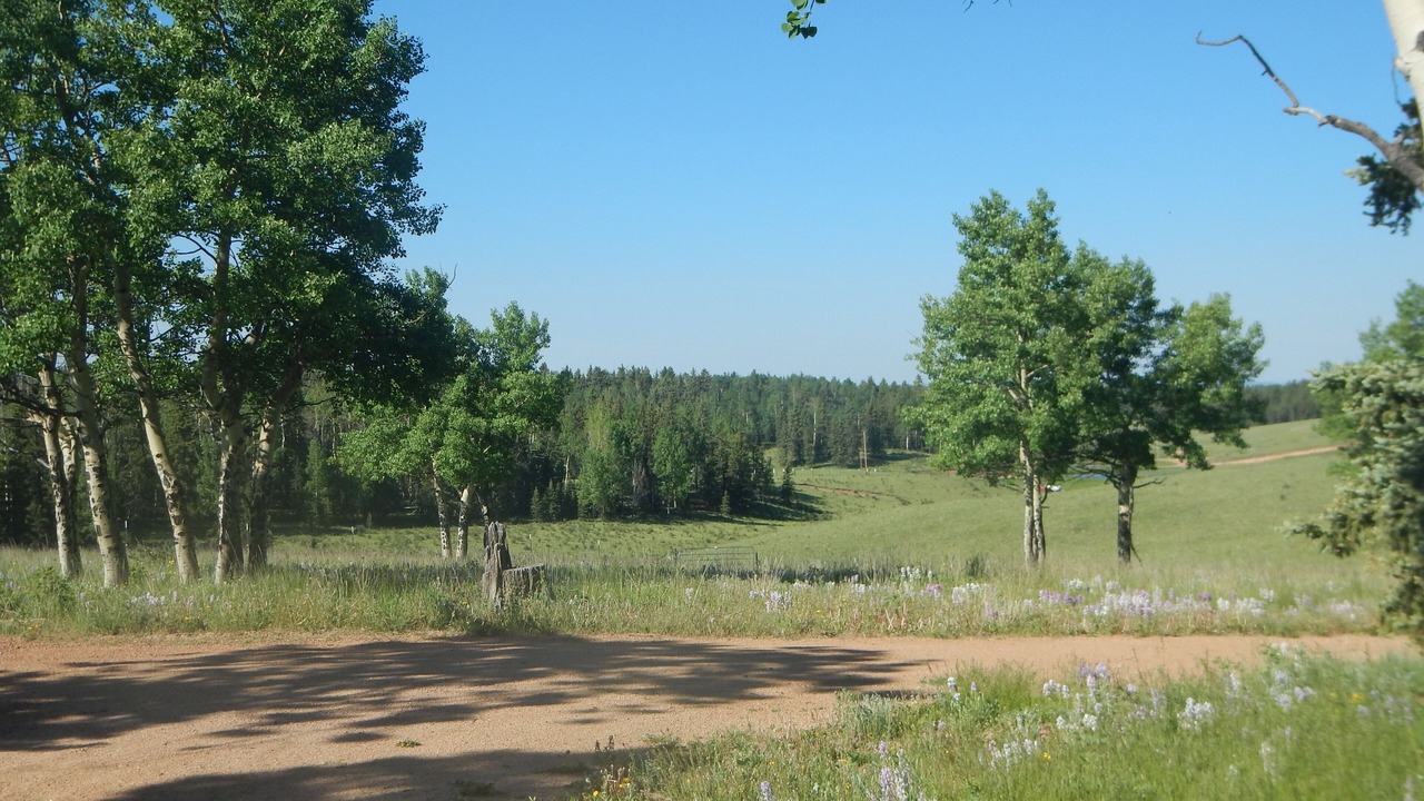 Photo of Outdoor in Divide