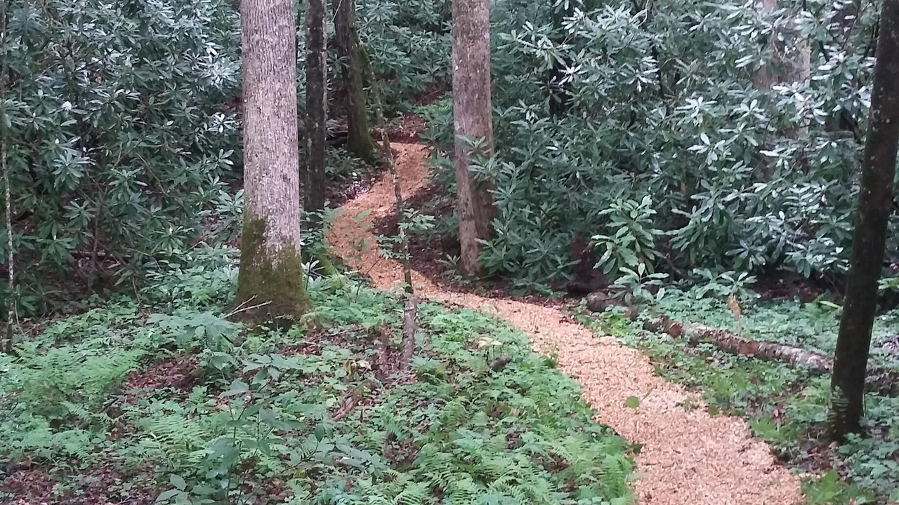 Photo of Others in Hiawassee
