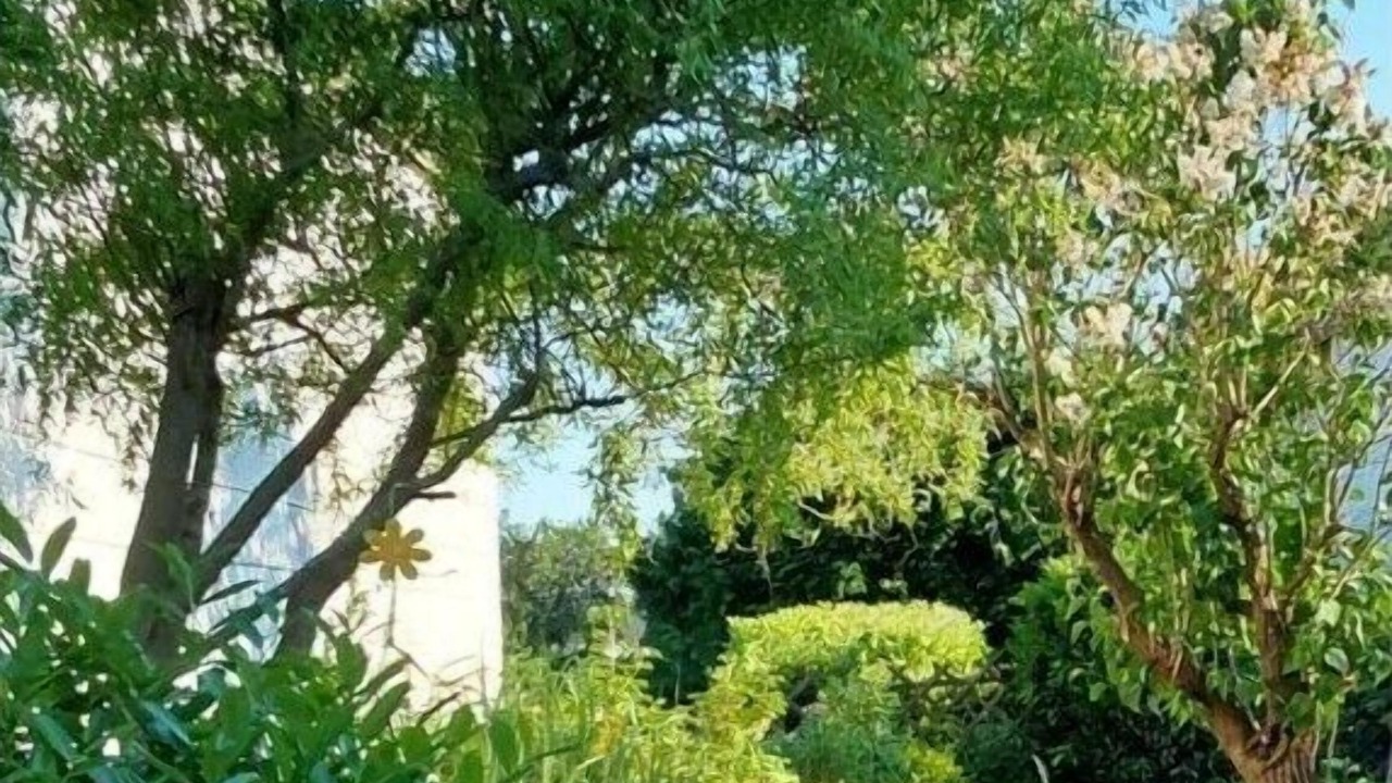 Photo of Others in Hunerbach