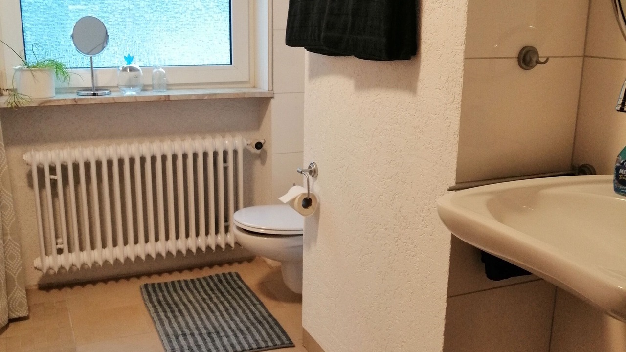 Photo of Bathroom in Schonbrunn