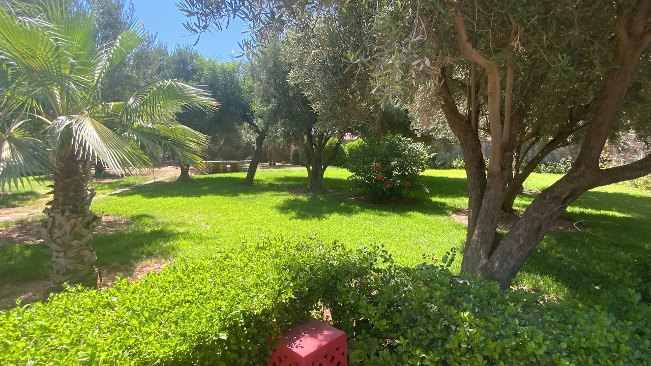 Photo of Outdoor in Marrakech