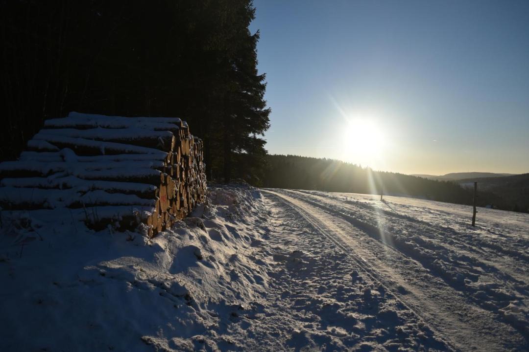 Photo of Others in Lauscha