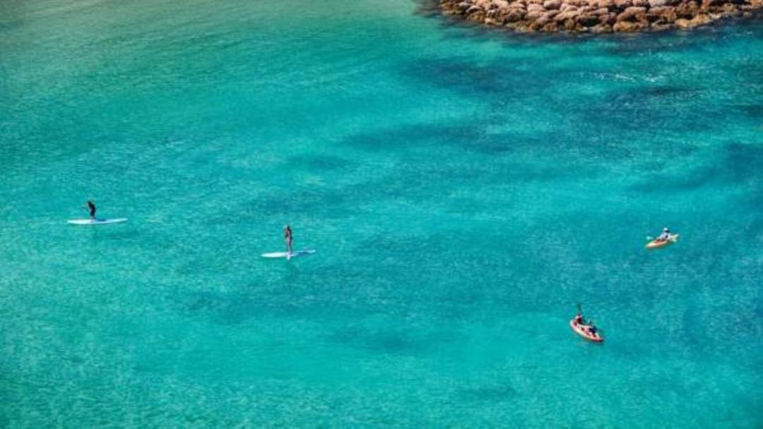 Photo of Others in Ko Olina