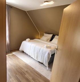 Modernes apartment nahe Thüringer Wald und Bergsee Ratscher in Auengrund